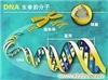 上海DNA鉴定价格 