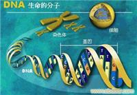 上海虹口区亲子鉴定机构 