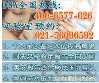 上海专业亲子鉴定中心