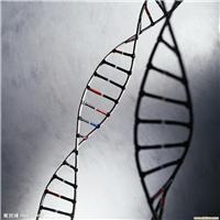 上海胎儿羊水鉴定价格 