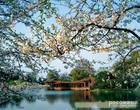 三潭印月,雷峰塔,上岸后,漫步苏堤 游花港观鱼景区[约100分钟左右]