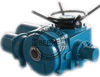 DZW30-24W电动执行器