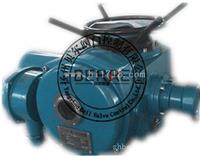 DZW20T-24/60Z阀门电动执行器