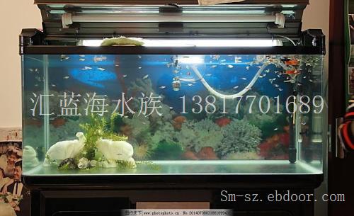 上海鱼缸/订做公司
