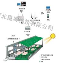 畜禽养殖智能环境监控系统,远程自动化控制监测,智慧养殖解决方案