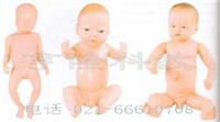 出生婴儿模型（男女任选）（妇婴模型、妇幼模型、计生模型、医学培训模型） 