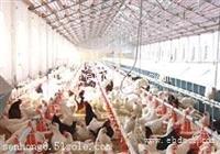 畜禽养殖智能监控系统，猪舍，鸡舍等动物养殖环境温湿度智能监测
