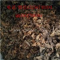 供应闹羊花价格
