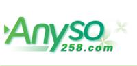 Anyso搜索 