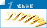 域名注册 
