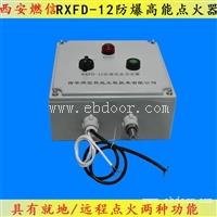 防爆高能点火器RXFD-12用于焦炉煤气放散点火 220V