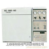 GC-900-SD气相色谱仪 