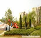 上海浦西绿化工程 