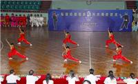 学武术