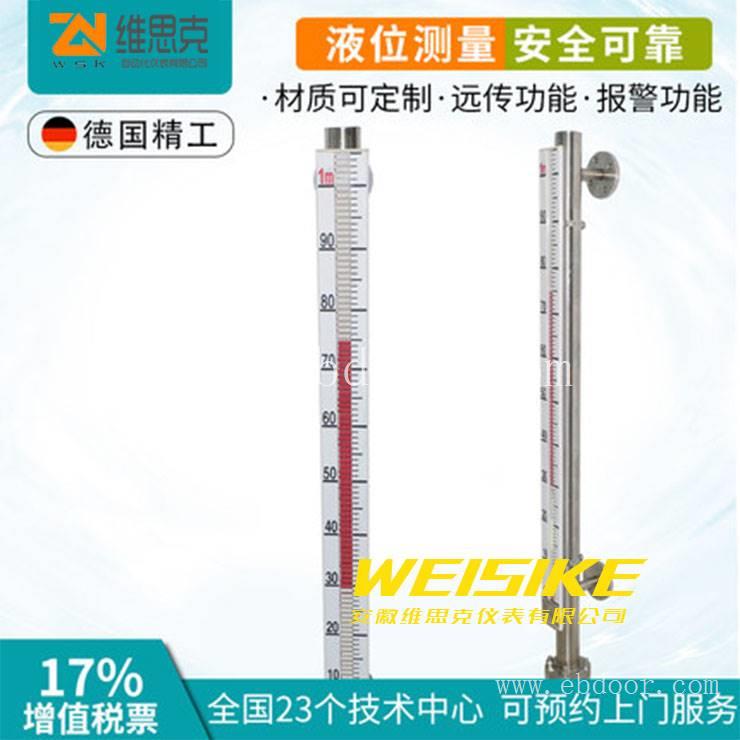 维思克UHZ-58/CG/B56不锈钢抱箍衬四氟防腐液位计