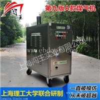 闯王CWR09A燃气移动型洗车机 蒸汽洗车机 清洗机