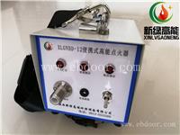 厂家直销 便携式高能点火器便携式XLGNBD-12