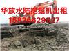 南京水挖机租赁改装，水陆挖掘机出租低价供应，水上挖掘机出租