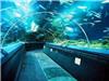 亚克力海底隧道_亚克力弧形鱼缸定做