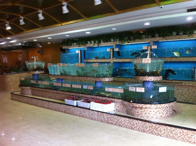 扬州鱼缸海鲜池/酒店海鲜