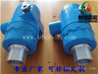 新绿高能供应 燃烧器专用220V一体化紫外线火火检装置XLZJ-102AT