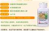 株洲安利amway专卖店有几家 株洲安利店铺为您服务