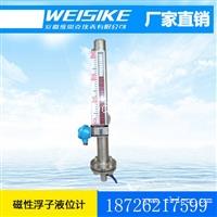 高温高压锅炉煤气液位计UHZ-HART不锈钢耐腐蚀