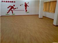 石家庄PVC塑胶运动地板'' 