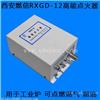燃信热220V能供应高能点火器 锅炉点火器 