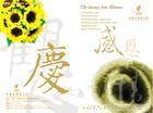 节日贺卡设计制作 