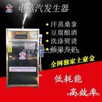 蒸汽发生器厂家 亮普30kw全自动蒸汽发生器 食品杀菌消毒