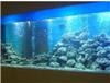 亚克力鱼缸定做-上海各个区别墅鱼缸保养维护