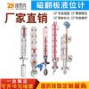 标准型磁浮子液位变送器YWZ-254T维思克牌