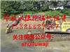 金华水路两用挖掘机出租 价格多少钱 清淤机械设备租赁 水挖出租