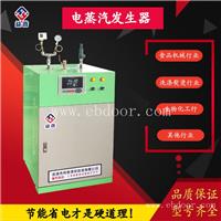 亮普电热蒸汽发生器6kw 蒸汽发生器厂家