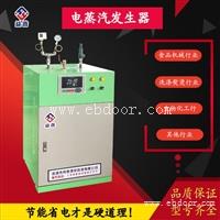 亮普电热蒸汽发生器6kw 蒸汽发生器厂家