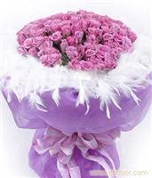 礼仪送花，编号；7720相伴99枝紫色玫瑰周边配鹅毛边市场价688；会员价620人喜欢；人购买 