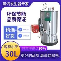 亮普燃油蒸汽发生器0.3吨 自动保护 型号齐全