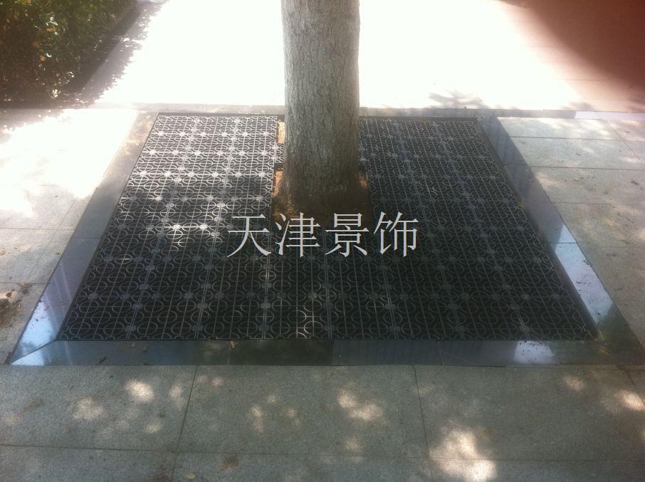 树蓖子