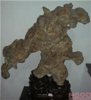 霸王龙-已售�