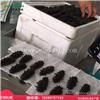 多功能海参蒸煮锅 海参加工设备 负压蒸煮海参技术说明
