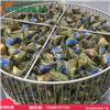 全自动粽子蒸煮锅 不锈钢真空粽子煮制机 中润煮粽机价格
