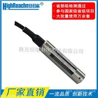 8006型数字液位变送器投入式