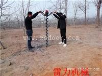 清管桩挖坑机深度掏桩心内泥土钻