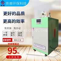 亮普纯蒸汽发生器 36KW 高效节能 移动方便