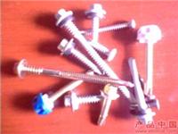 自攻钉 