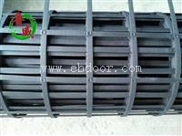 钢塑格栅专业生产商 凸结点钢塑格栅库存足 型号齐全