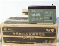 海宝48V10AH高性能 电动车电池�