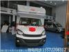 四川舜宇俱乐部依维柯欧胜房车图片示例