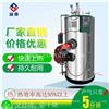 亮普燃气小型蒸汽发生器 天然气液化气均可使用